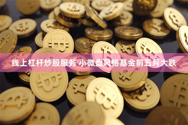 线上杠杆炒股服务 小微盘风格基金前五月大跌