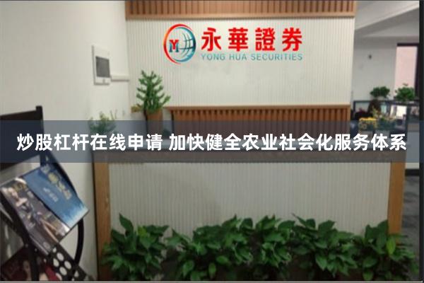 炒股杠杆在线申请 加快健全农业社会化服务体系