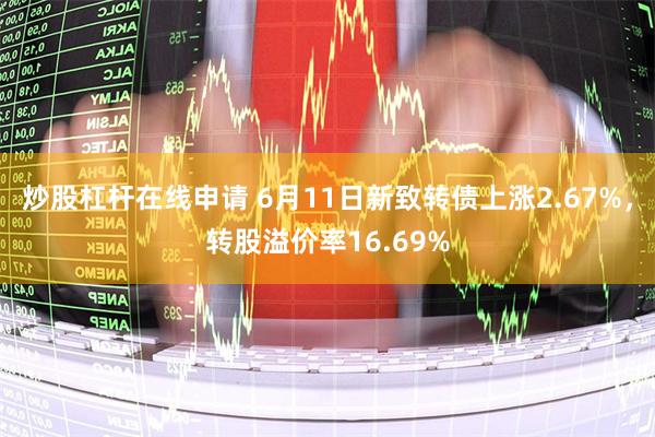 炒股杠杆在线申请 6月11日新致转债上涨2.67%，转股溢价率16.69%