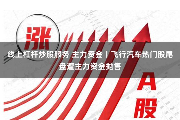 线上杠杆炒股服务 主力资金丨飞行汽车热门股尾盘遭主力资金抛售